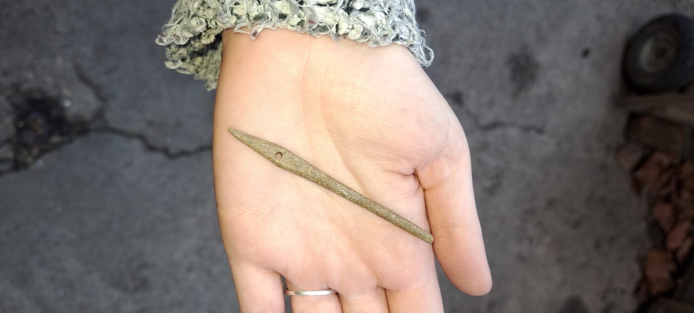 Bone needle